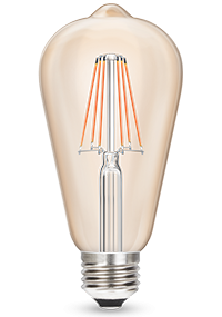 Garnet 6W Filament Gold ST64 LED Bulb